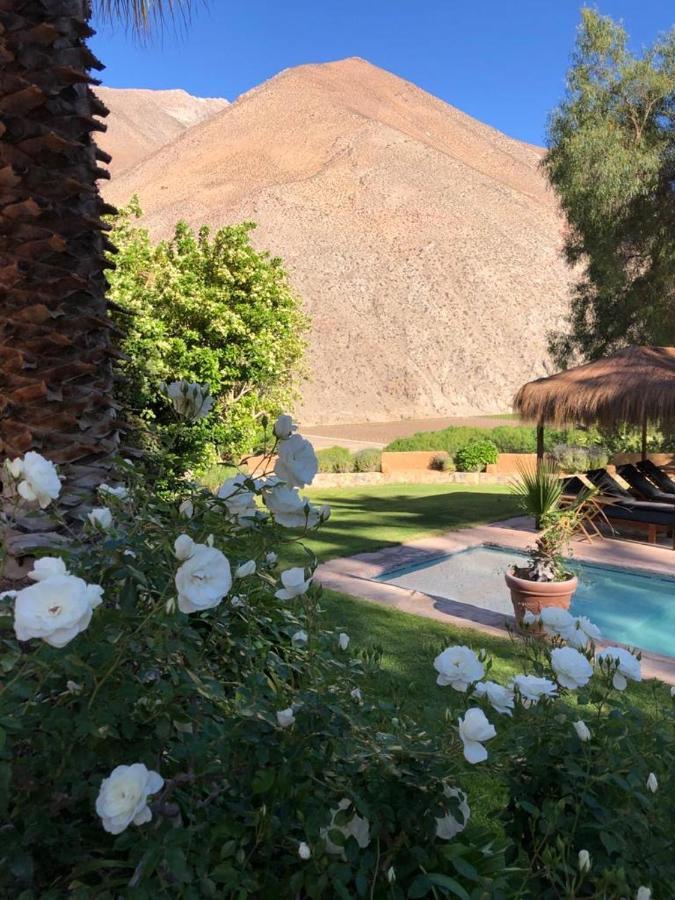 Refugio Misterios Del Elqui Bed and Breakfast Pisco Elqui Εξωτερικό φωτογραφία