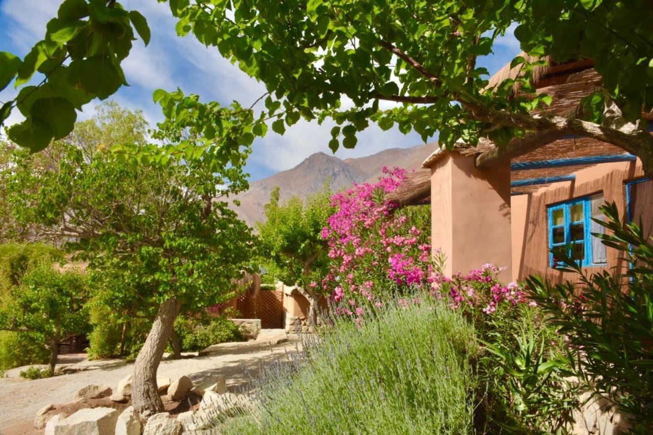 Refugio Misterios Del Elqui Bed and Breakfast Pisco Elqui Εξωτερικό φωτογραφία