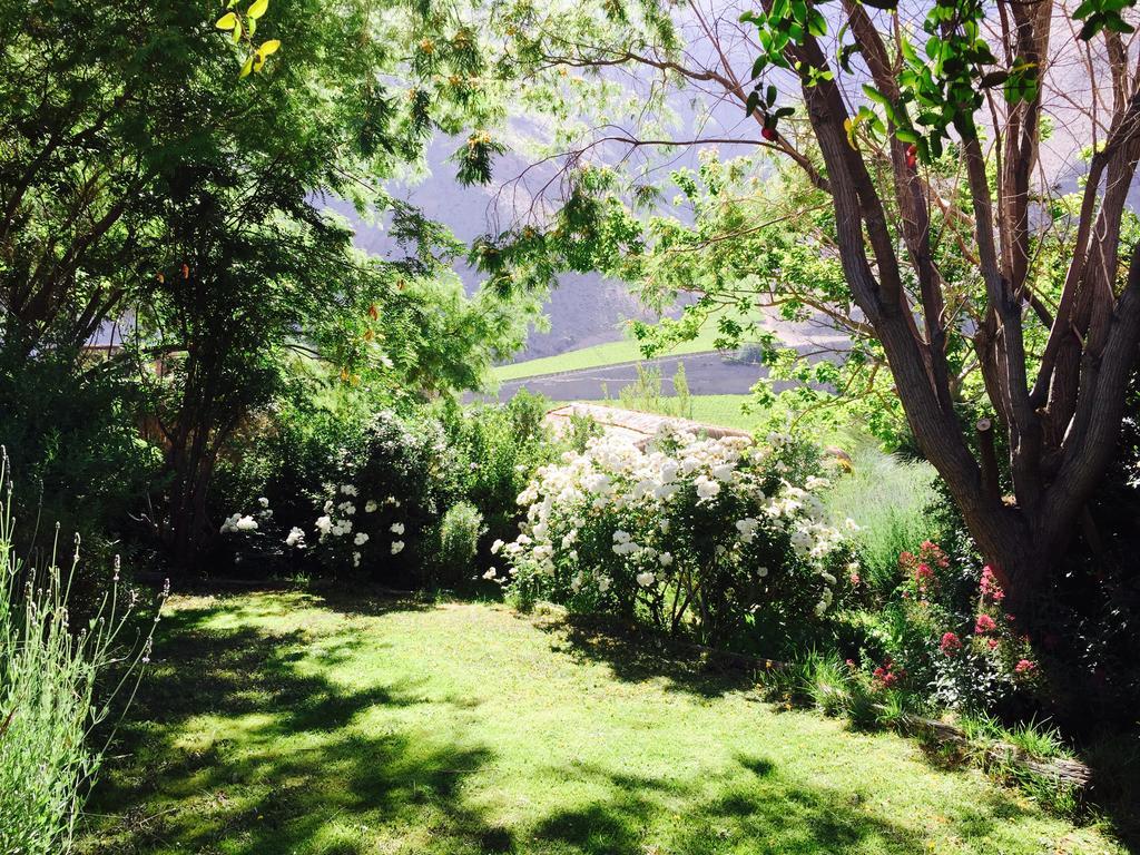 Refugio Misterios Del Elqui Bed and Breakfast Pisco Elqui Εξωτερικό φωτογραφία