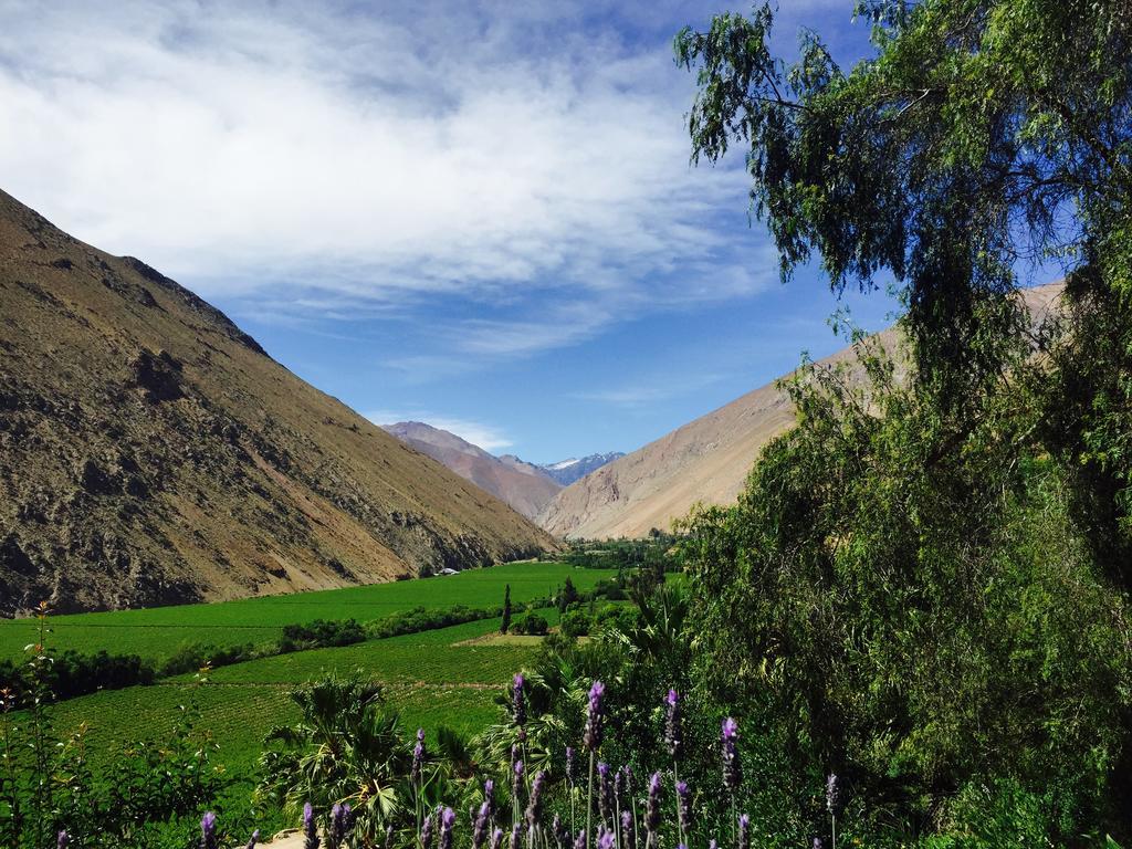 Refugio Misterios Del Elqui Bed and Breakfast Pisco Elqui Εξωτερικό φωτογραφία