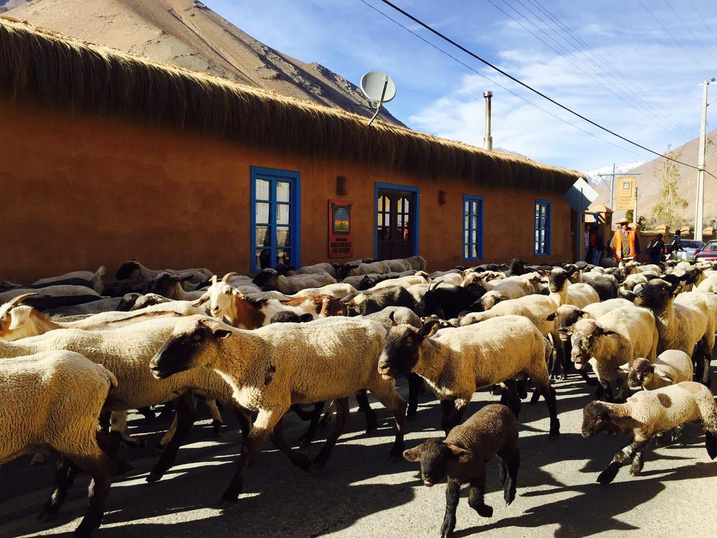 Refugio Misterios Del Elqui Bed and Breakfast Pisco Elqui Εξωτερικό φωτογραφία