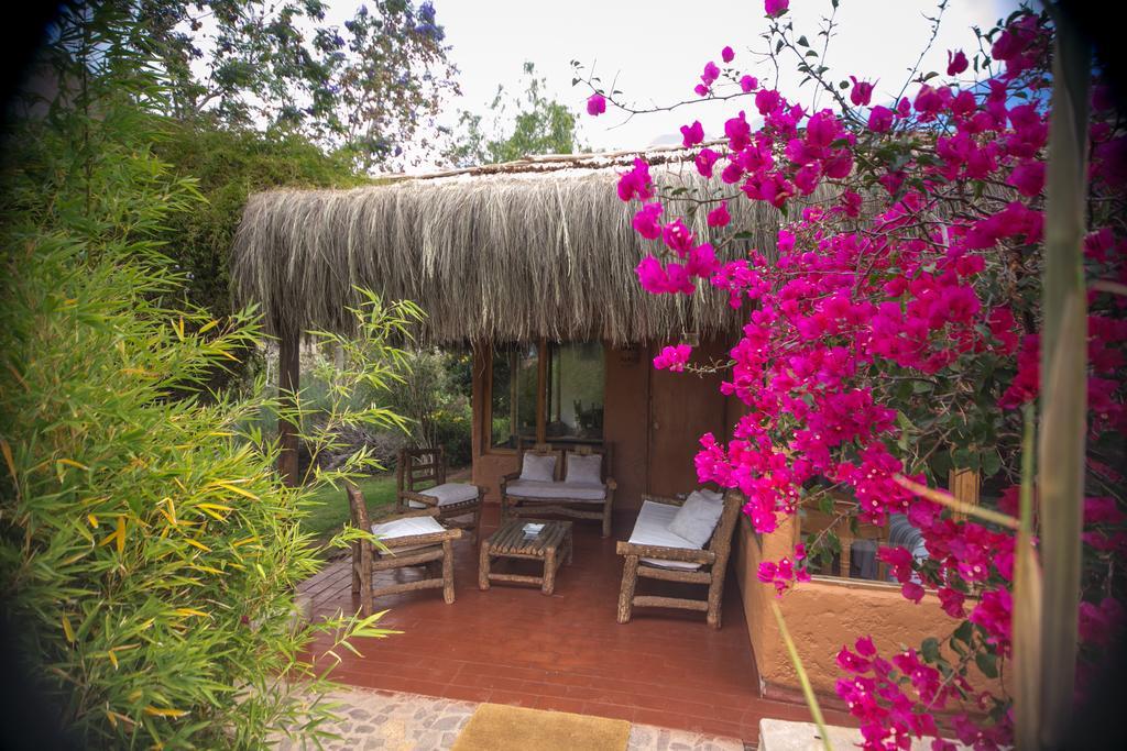 Refugio Misterios Del Elqui Bed and Breakfast Pisco Elqui Εξωτερικό φωτογραφία