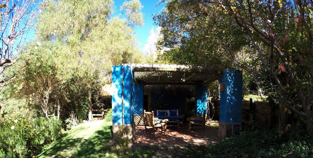 Refugio Misterios Del Elqui Bed and Breakfast Pisco Elqui Εξωτερικό φωτογραφία