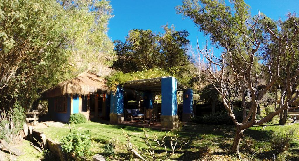 Refugio Misterios Del Elqui Bed and Breakfast Pisco Elqui Εξωτερικό φωτογραφία