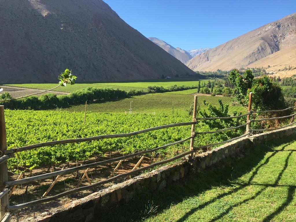 Refugio Misterios Del Elqui Bed and Breakfast Pisco Elqui Εξωτερικό φωτογραφία