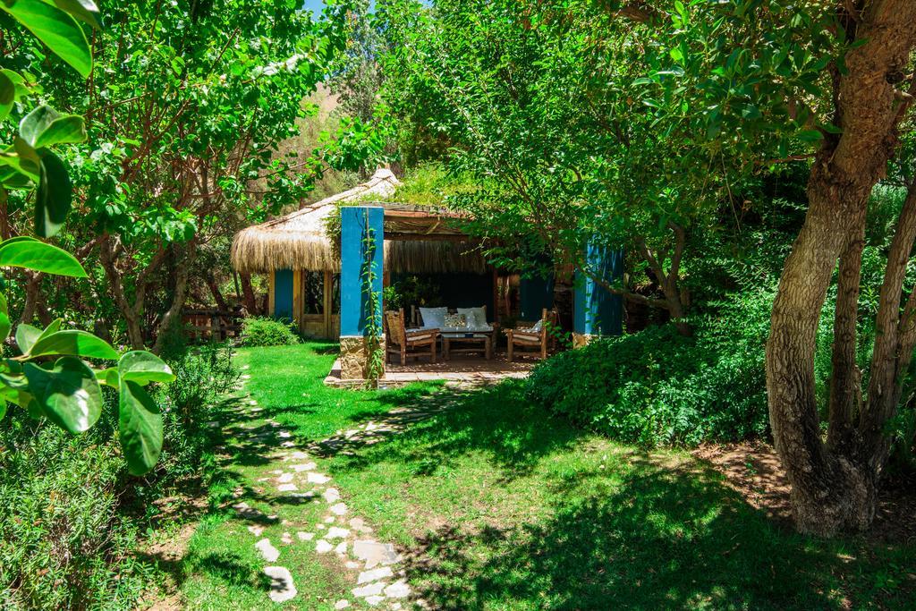 Refugio Misterios Del Elqui Bed and Breakfast Pisco Elqui Εξωτερικό φωτογραφία