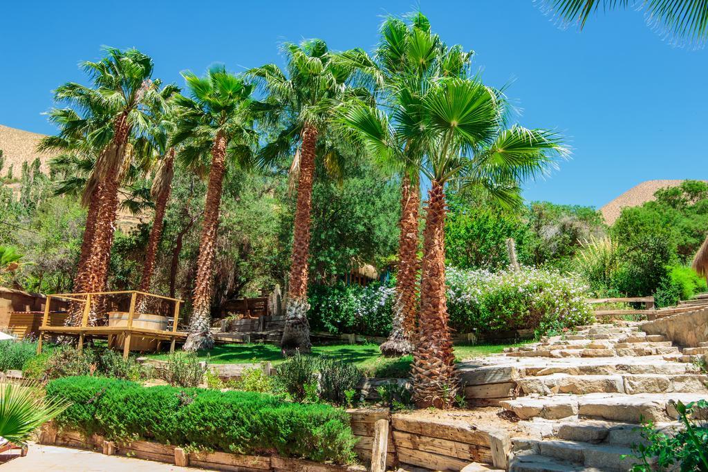 Refugio Misterios Del Elqui Bed and Breakfast Pisco Elqui Εξωτερικό φωτογραφία