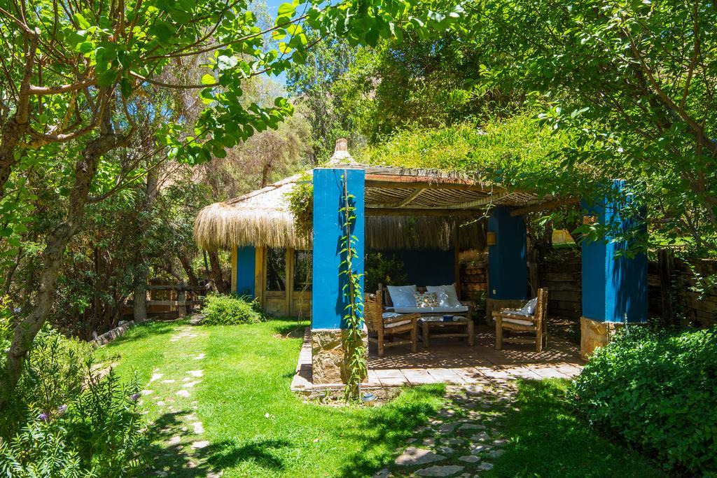 Refugio Misterios Del Elqui Bed and Breakfast Pisco Elqui Εξωτερικό φωτογραφία